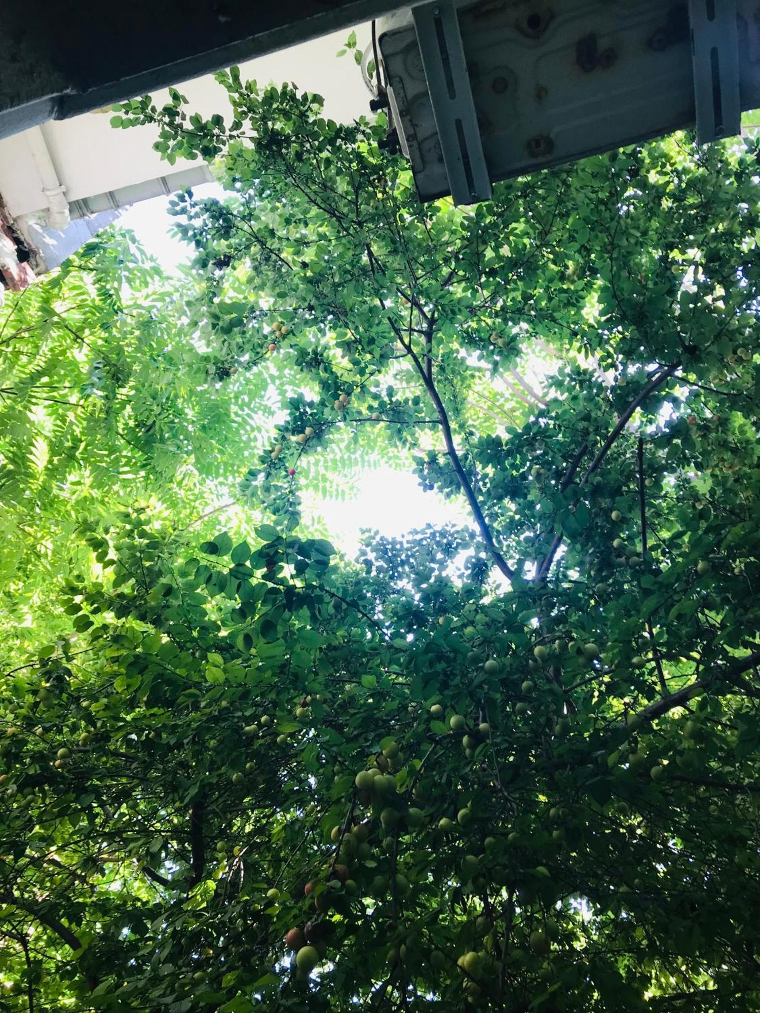 Halil Bey Konagi Aparthotel Istanbul Bagian luar foto